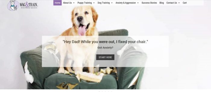 Wag and train website
