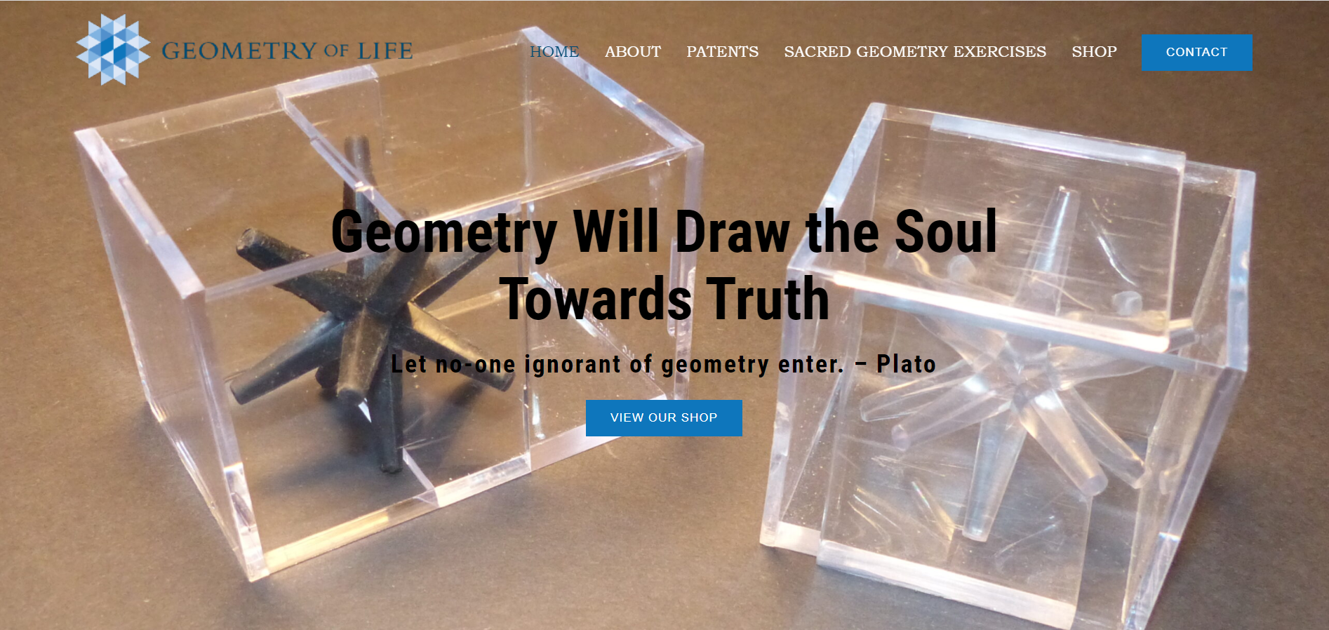 Geometry of life