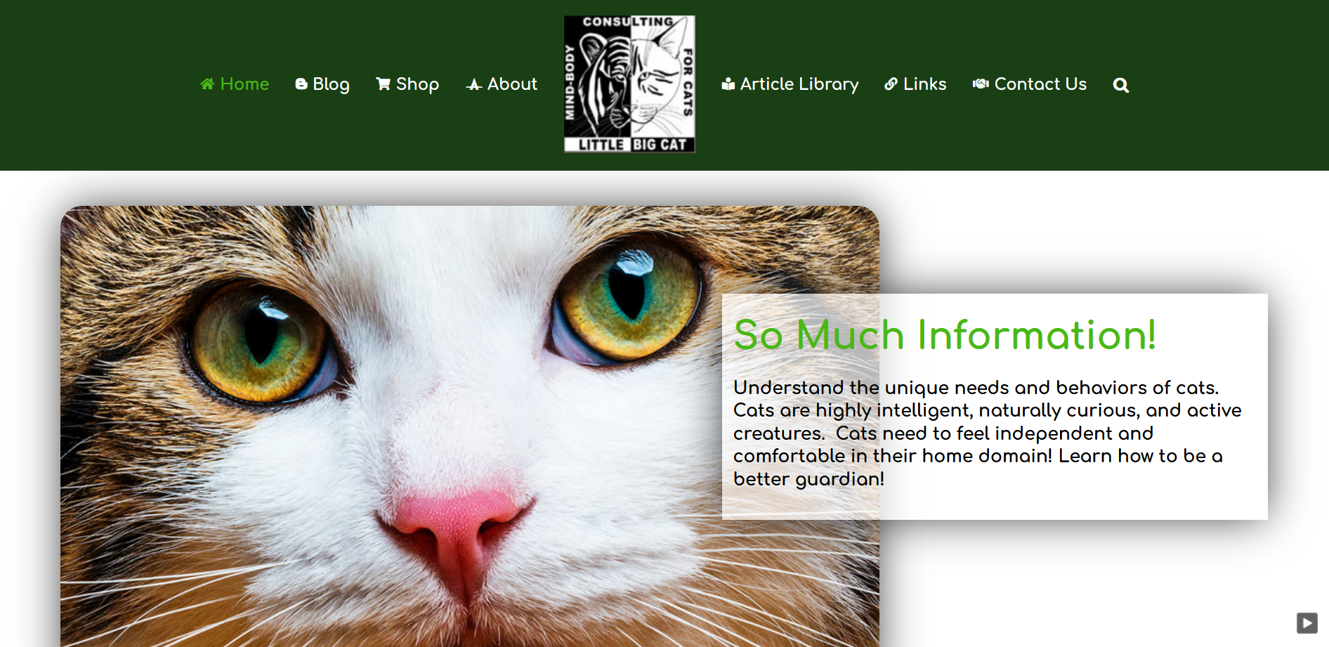 Little Big Cat screen shot